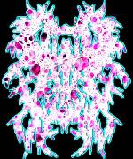 logo Cillit Bang Korma Orgy logo Cillit Bang Korma Orgy